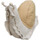 Coussin lavable en machine escargot Lazy Snail