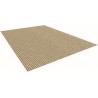 Tapis moderne extérieur et intérieur plat Antelope
