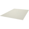 Tapis plat contemporain uni Basin