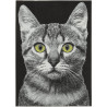 Tapis à courtes mèches design gris Chinook