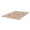 Tapis avec franges orient plat Darby