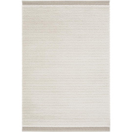 Tapis moderne intérieur rectangle Dodson