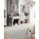 Tapis uni gris salon Fromberg