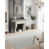 Tapis uni gris salon Fromberg