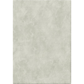 Tapis uni gris salon Fromberg