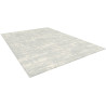 Tapis uni gris salon Fromberg