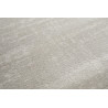 Tapis uni gris salon Fromberg