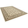 Tapis style orient rectangle Hot Springs