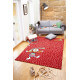 Tapis rouge pour chambre d'enfant Rainbow Rabbit Sigikid