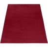 Tapis uni doux à courtes mèches Hector