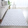 Tapis doux 3D graphique design Anni