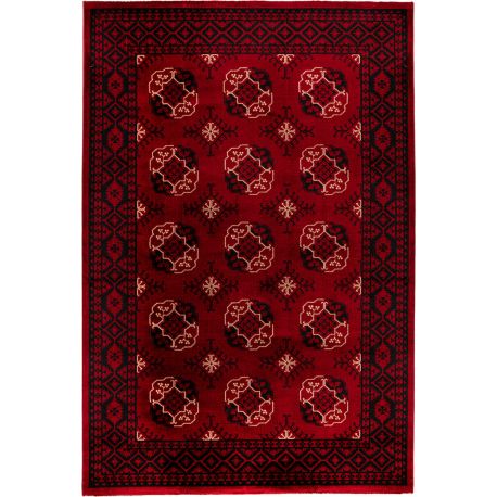 Tapis de salon lavable en machine, tapis persan vintage, résistant aux  taches, poils