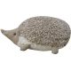 Coussin enfant coton hérisson Hedgehog