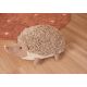 Coussin enfant coton hérisson Hedgehog