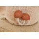Pouf champignon enfant coton Boletus
