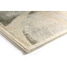 Tapis viscose floral moderne rectangle Ellipse