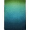 Tapis dégradé pour salon Sunrise Esprit Home