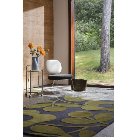 Tapis laine effet 3D tufté main floral moderne Sprig Stem