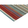 Tapis rayé extérieur et intérieur moderne Spectro Stripes