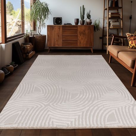 Tapis effet courbe 3D design intérieur Bincia