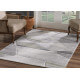 Tapis effet 3D gris pour salon Renzo