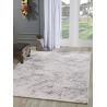 Tapis gris vintage brillant intérieur Bucarest