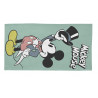 Tapis rectangle vert Disney lavable en machine Disney Director