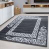 Tapis baroque pour salon en polypropylène Aftas