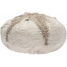 Coussin ivoire en coton Tribute to Cotton Lorena Canals