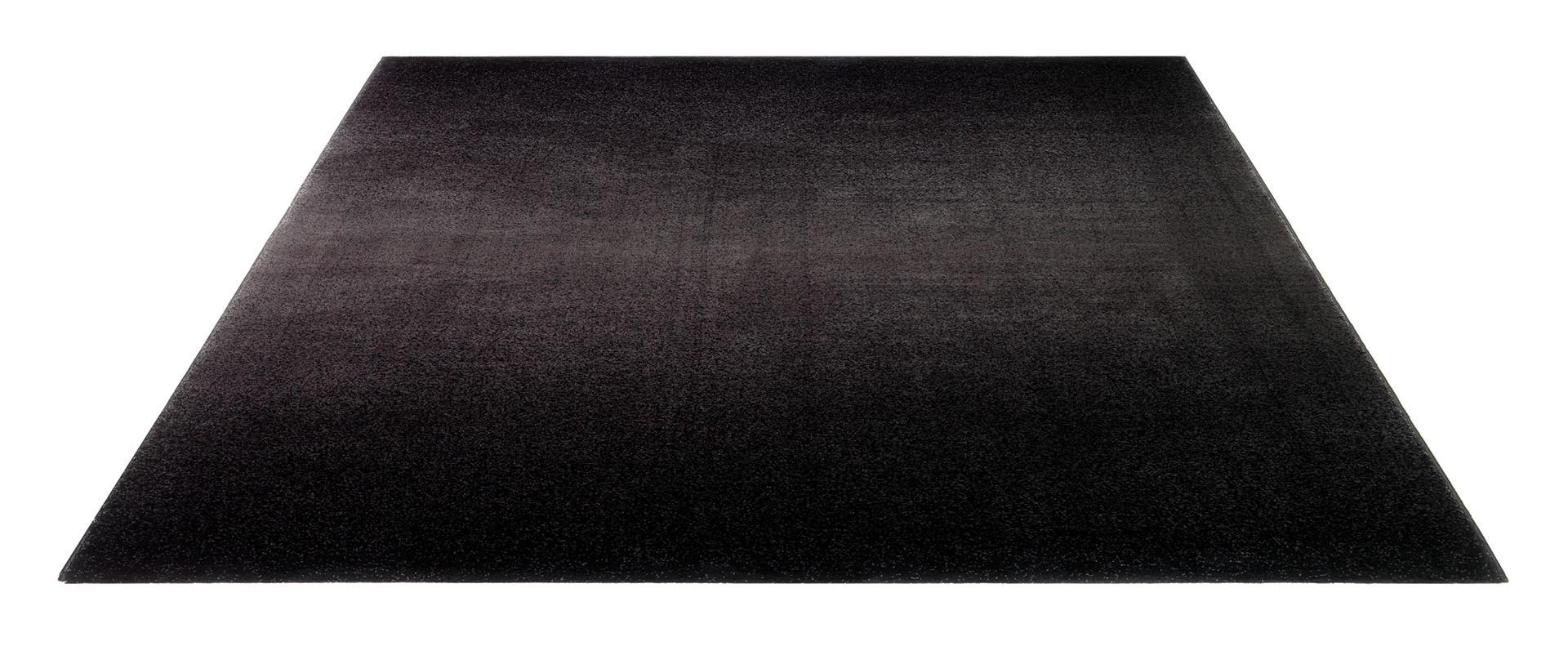  Tapis  de salon  noir  Richmond par Esprit Home