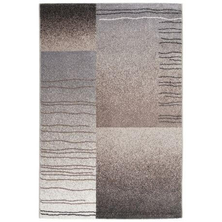 Tapis Deladeco aux velours fin pour salon taupe Roulotte