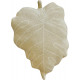 Coussin lavable en machine réversible Baby Leaf