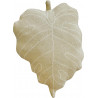 Coussin lavable en machine réversible Baby Leaf