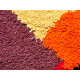 Tapis beni ouarain multicolore 100 % laine épaisse Houara