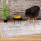 Tapis de salon vintage avec franges Press