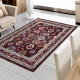 Tapis de salon plat design oriental Mishaal