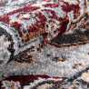 Tapis plat de salon style oriental Lai