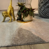 Tapis d'intérieur et extérieur moderne en polypropylène BoraBora