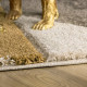 Tapis d'intérieur et extérieur moderne en polypropylène Patty