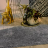 Tapis d'intérieur et extérieur moderne en polypropylène Patty
