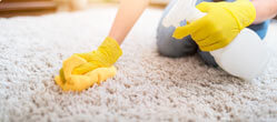 Nettoyant tapis